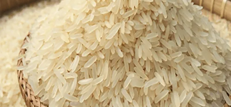 Organic Jasmine Rice For Sale