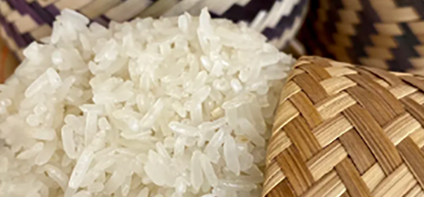 Thai Glutinous Rice For Sale