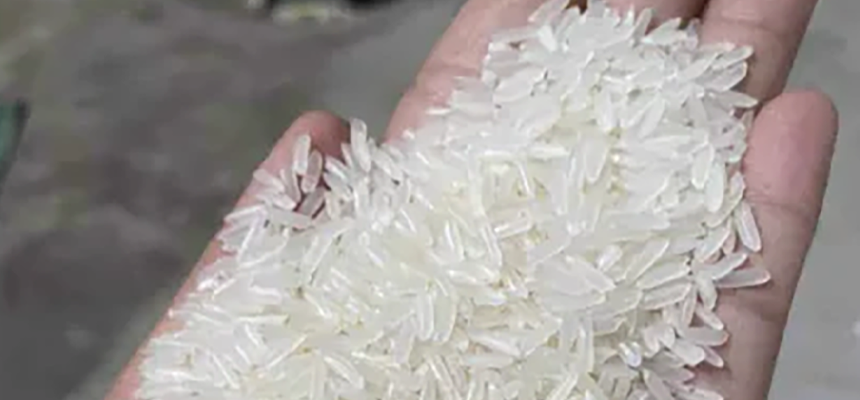 white rice 5 broken for sale