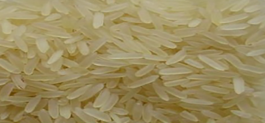 Buy Thai Parboiled rice 5% broken