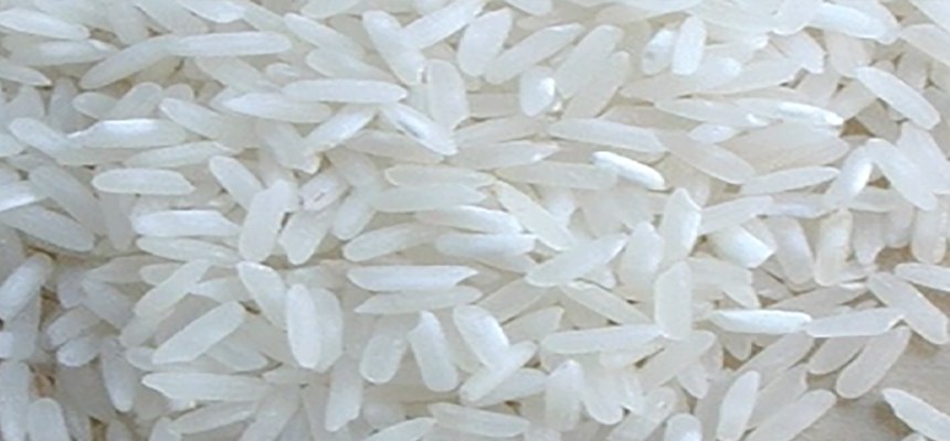 thai glutinous rice 25 broken for sale