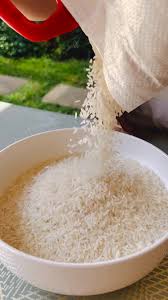 Premium Thai Hom Mali rice suppliers Canada