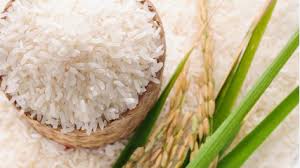 Thai Hom Mali rice export worldwide