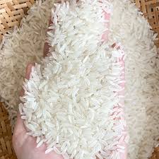 Thai Hom Mali rice for sale in Bulk