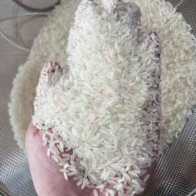 best Thai rice wholesale deals