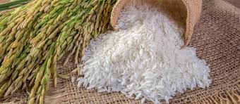 high quality Thai Hom Mali rice for sale