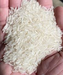 jasmine rice exporters with best price