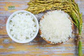 jasmine rice wholesale price