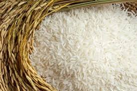 long grain rice Haiti import