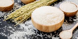 premium Thai Hom Mali rice for export