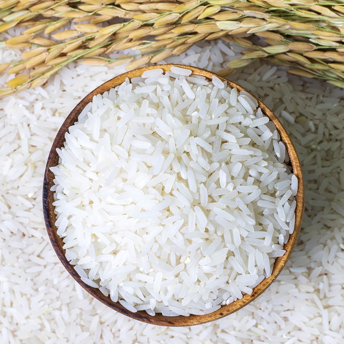 premium Thai jasmine rice supplier