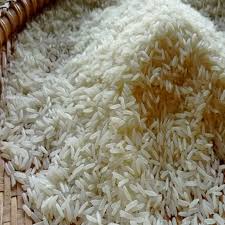 thai fragrant rice