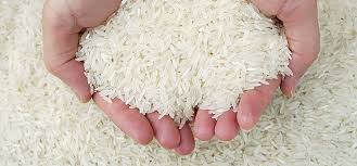 wholesale Thai jasmine rice exporters