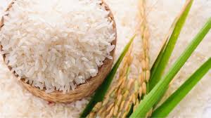 Thai Hom Mali rice global market