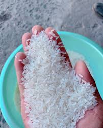 Thai jasmine rice for Brazil market