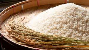 Thai jasmine rice for North America market