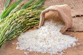 Thai rice export to America
