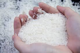 best jasmine rice brands in Canada