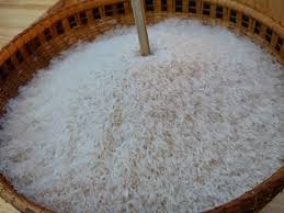 best jasmine rice from Thailand to the world