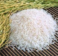 export Thai rice in bulk to South America