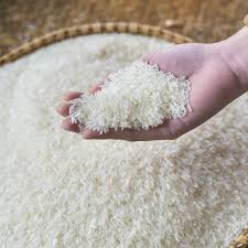 organic Thai jasmine rice for bulk sale