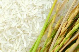 rice import in Dominican Republic