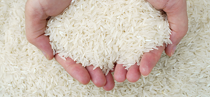 Thai Hom Mali vs Jasmine Rice: Best Buyer's Guide